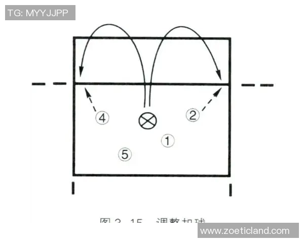 广州排球队精英赛战术分析与表现评估全面解读